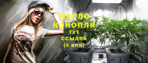 молекула духа Киреевск