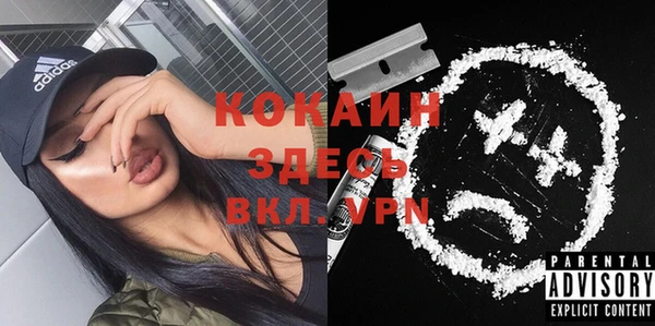 молекула духа Киреевск