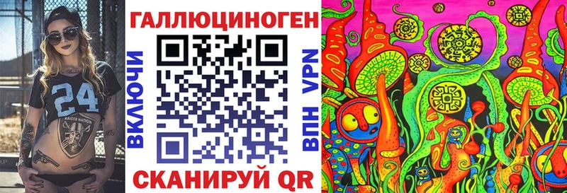 Галлюциногенные грибы Psilocybe  Купить закладки  Ахтубинск 